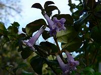 2010-05-02_07-48-57_0093