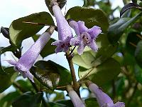 2010-05-04_08-08-08_0158