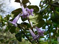 2010-05-04_08-08-18_0161