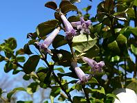 2010-05-05_10-13-32_0001