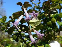 2010-05-05_10-13-45_0005