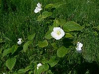 2010-06-01_09-08-10_0083
