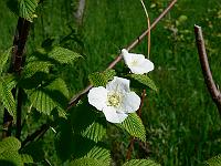 2010-06-03_08-23-41_0074