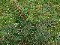 2008-09-20_09-38-34_0161
