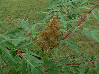 2010-07-29_08-19-30_0139