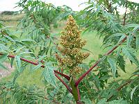 2011-07-21_20-11-15_0103