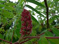 2010-07-29_08-20-41_0153