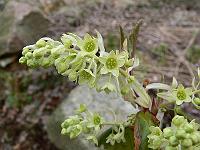 2010-03-28_12-42-57_0009