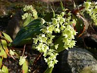 2010-03-31_09-06-08_0004