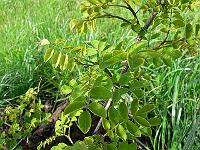 2009-05-10_15-37-03_0235
