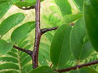 2011-09-05_09-29-28_0131
