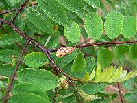 2011-09-21_08-01-31_0056