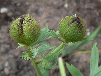 2009-06-27_18-29-42_0208