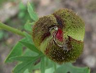 2009-07-01_08-59-57_0008