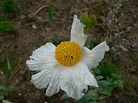 2009-07-05_07-47-10_0052