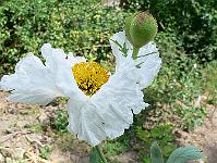2009-07-05_13-20-35_0027