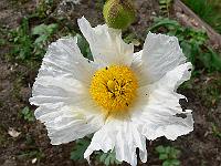 2009-07-06_08-17-33_0024