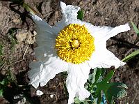 2009-07-11_09-25-18_0009