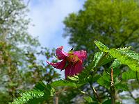 2010-05-17_07-14-32_0057