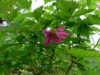 2010-05-20_07-18-33_0009