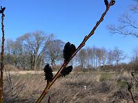 2011-03-27_09-37-18_0027