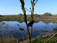 2011-04-10_08-28-57_0081