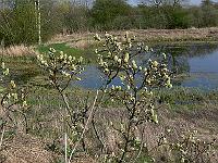 2011-04-20_15-36-25_0289