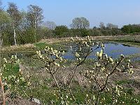 2011-04-20_15-36-45_0292