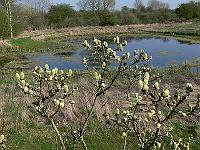 2011-04-20_15-37-20_0304