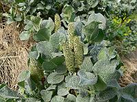 2011-05-27_08-44-39_0136