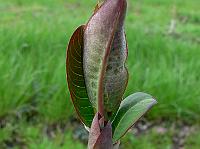 2010-05-11_16-09-57_0049