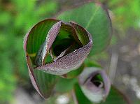 2010-05-11_16-10-18_0052