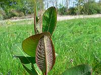 2010-05-19_09-10-53_0084