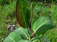 2010-05-20_16-11-49_0367