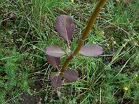 2010-08-19_09-09-34_0034