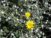 27-06-05kodak_106