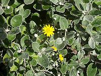27-06-05kodak_111