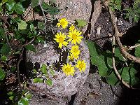 28-06-05kodak_022