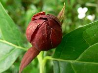 2008-05-15_08-12-18_0090