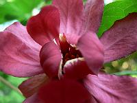 2008-05-21_07-13-54_0048