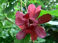 2008-05-21_07-13-54_0052