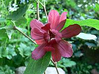 2008-05-21_07-13-54_0057