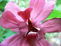 2008-05-22_04-57-39_0027