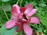 2008-05-22_14-50-52_0015
