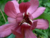 2008-05-22_14-50-52_0016