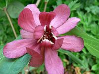 2008-05-22_14-50-52_0024
