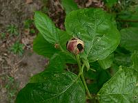 2011-06-07_08-37-01_0047