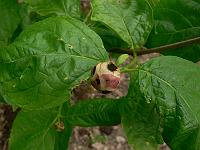 2011-06-08_08-38-56_0005