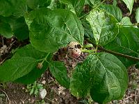 2011-06-11_06-31-39_0007