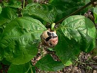 2011-06-14_08-23-06_0010